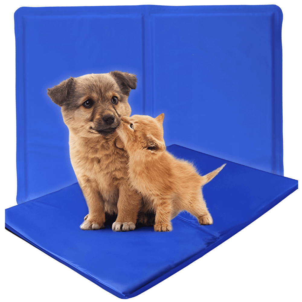 Mata chłodząca dla psa kota królika na fotel legowisko samochodu 40x50cm PetJet