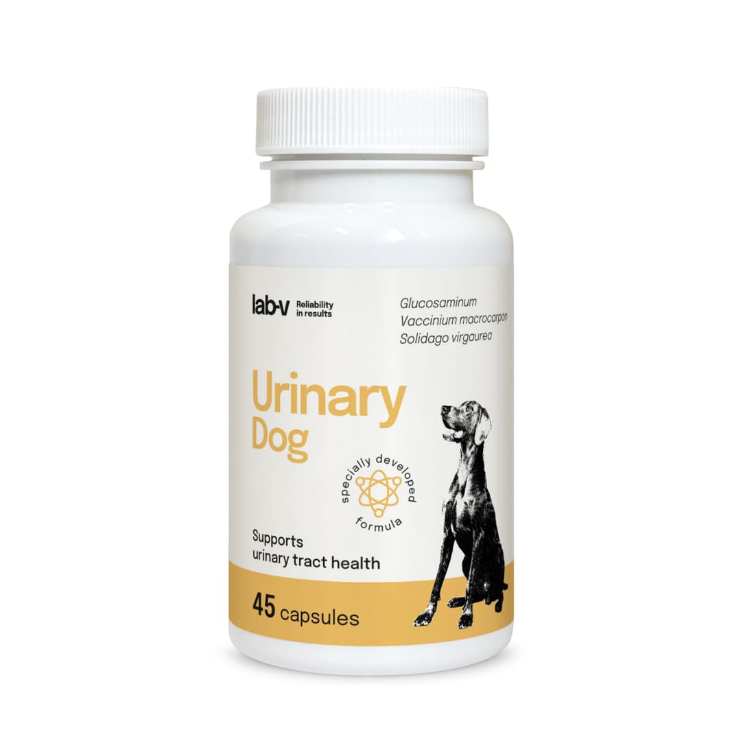 LAB-V Urinary Dog - Wsparcie przy zakażeniu dróg moczowych u psów 45 kapsułek