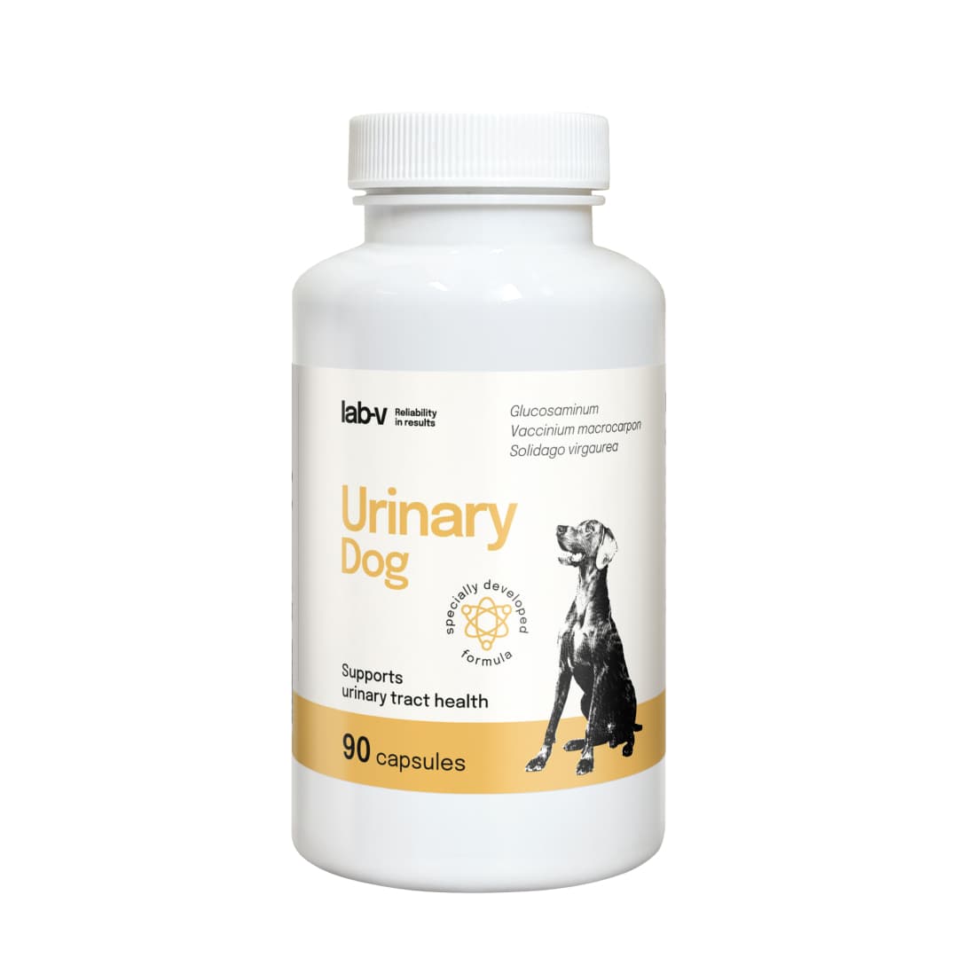 LAB-V Urinary Dog - Wsparcie przy zakażeniu dróg moczowych u psów 90 kapsułek