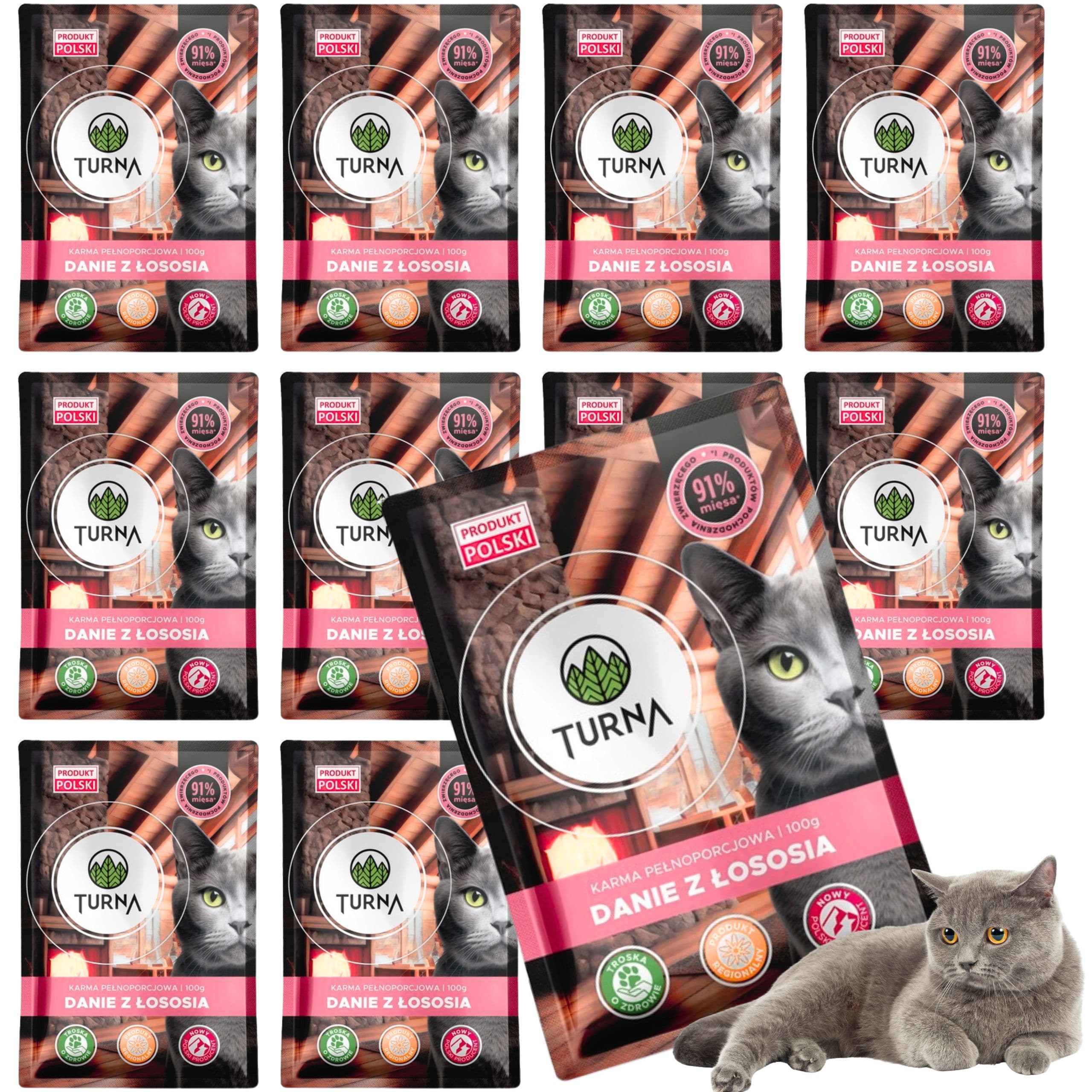 Karma mokra dla kota z łososiem TURNA Cats 100g saszetka bez zbóż naturalna
