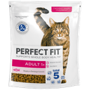 PERFECT FIT Adult 1+ Z Łososiem 750g