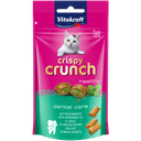 Vitakraft Cat Crispy Crunch Dental 60g